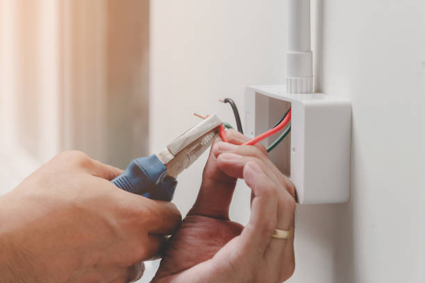 Best Electrical Panel Upgrades  in Annetta, TX